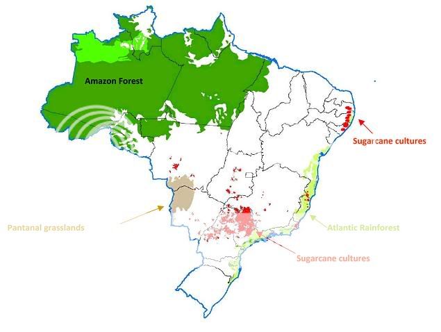 brazilian land usage (dates?) (c) plantation genf20 usage
