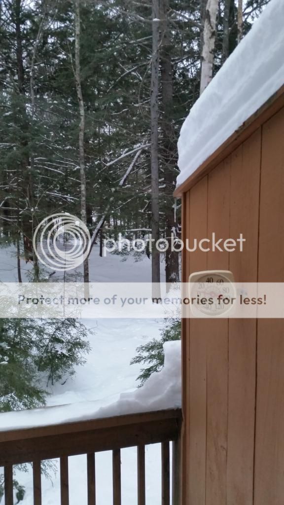 20150131_072034_zpsbvcica91.jpg
