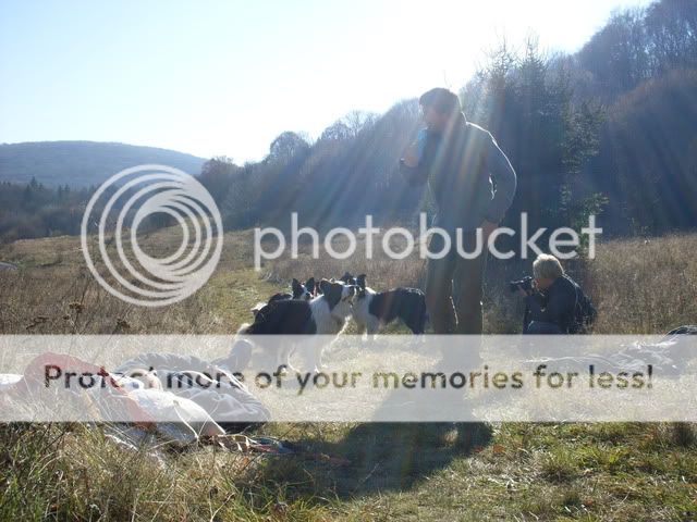 SDC13036.jpg