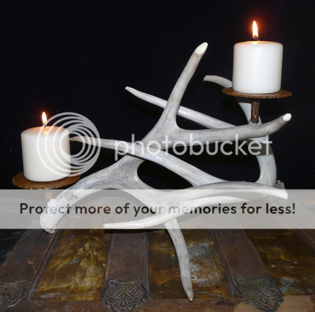 NEW Real Authentic Light Mule Deer Antler Candle Holder Sculpture