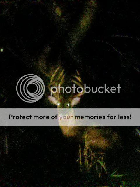 Posted Image