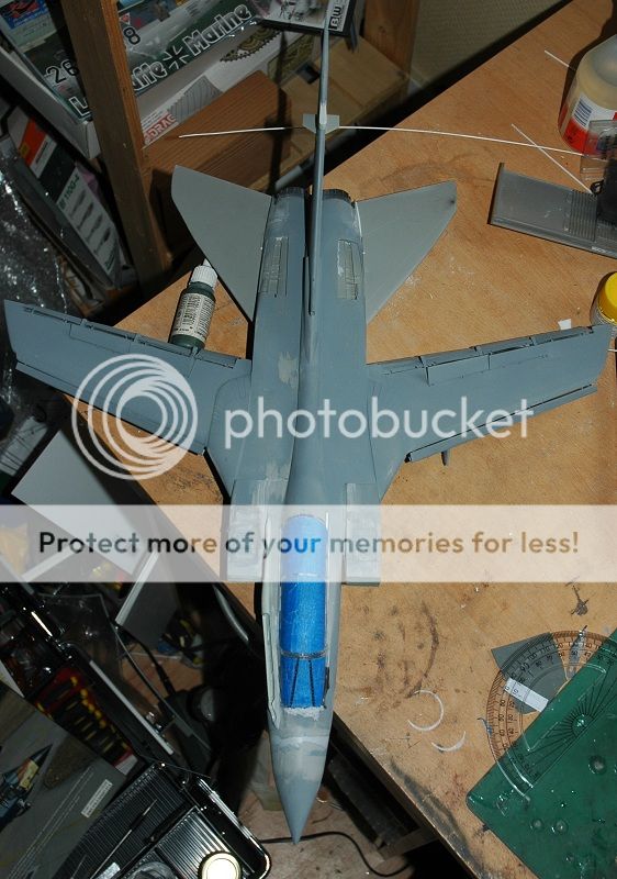 Posted Image