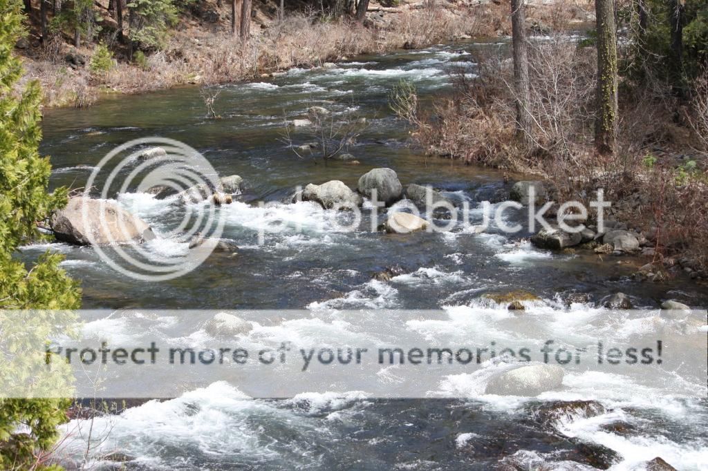 Apr 14th ride at Elkins Flat OHV/PiPi, who's interested? Page 2