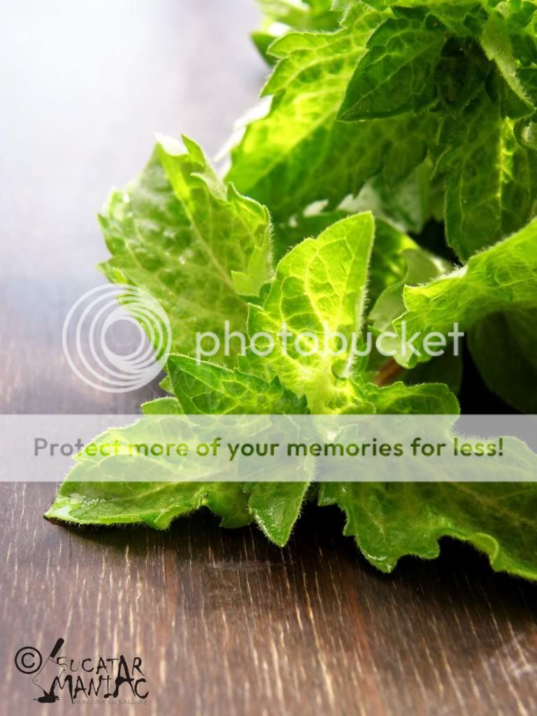 reteta sirop de menta,reteta suc de menta,menta,racoritor,vara suc