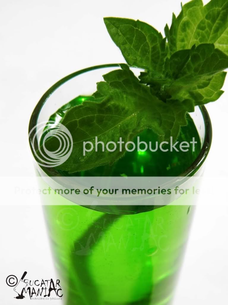 reteta sirop de menta,reteta suc de menta,menta,racoritor,vara suc